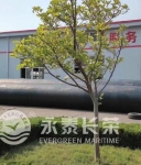 印尼客户来访我司工厂，深入了解船用气囊产品